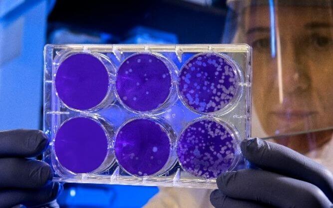 ‘Living medicine’ created to treat drug-resistant infections