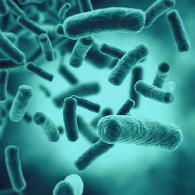 Osteomielitis: la cirugía de una sola etapa que corta el problema de raíz