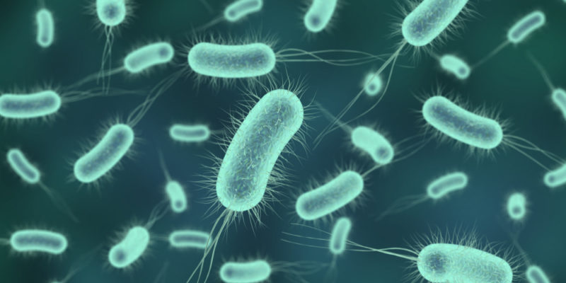 1 de cada 6 infecciones bacterianas ya no responde a los antibióticos más comunes