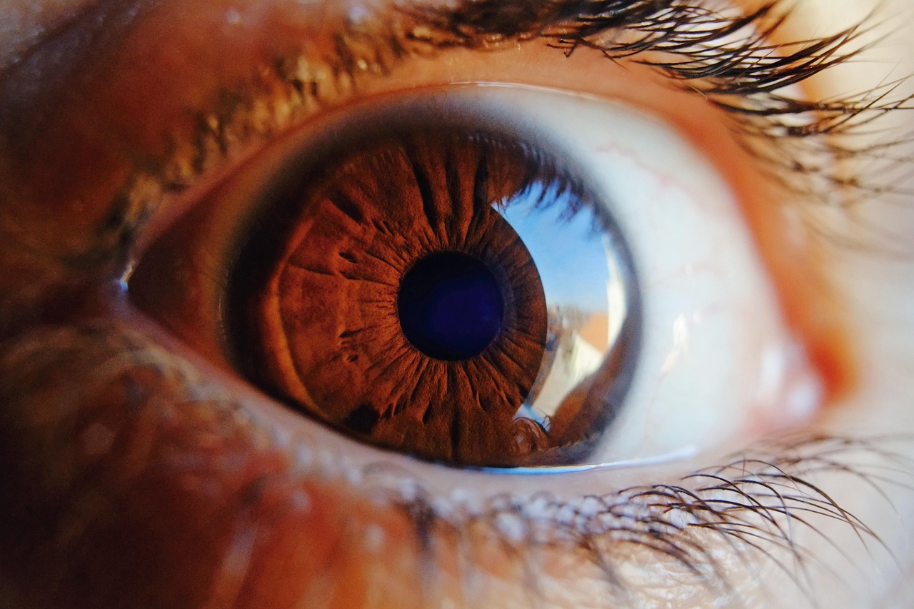 Osteoporosis: ¿podría una imagen del ojo ayudar a detectarla?