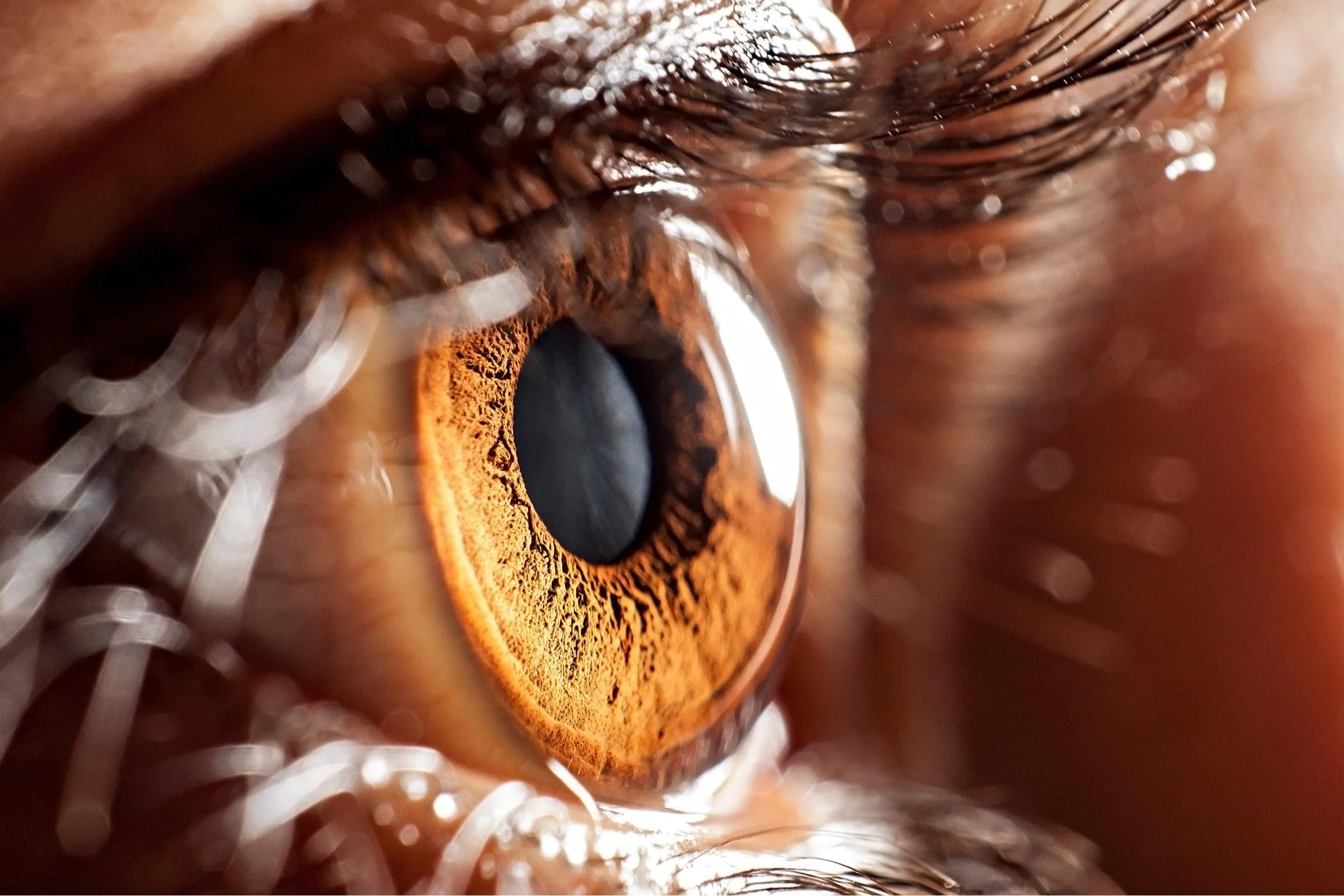 Osteoporosis: ¿podría una imagen del ojo ayudar a detectarla?