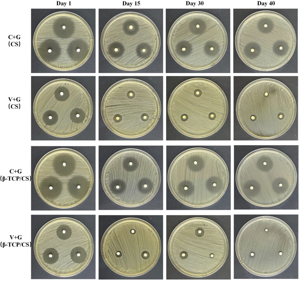 biofilm